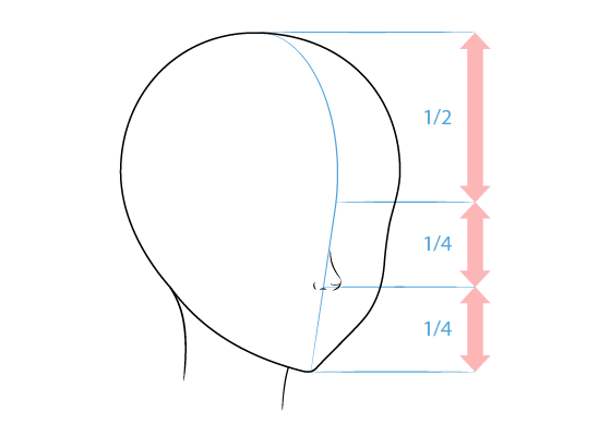 How to draw a nose from the front  7 easy steps  RapidFireArt
