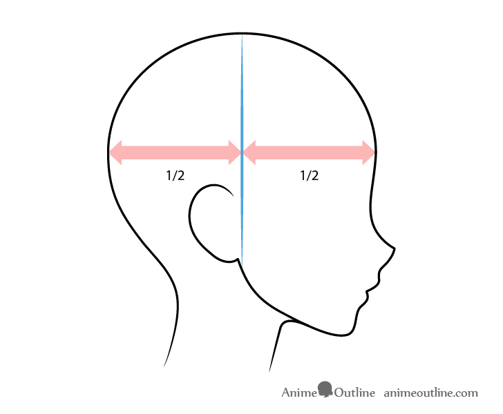 Drawing anime ears on head side view guide