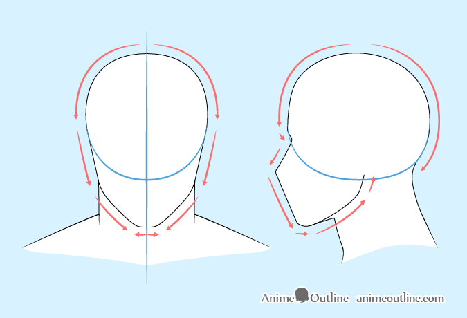 How To Draw The Male Head  Front View