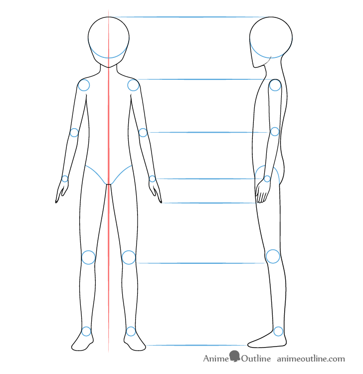Human male Proportions - Side View - Show - GameDev.tv