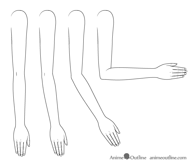 arm drawing reference' in Drawing References and Resources