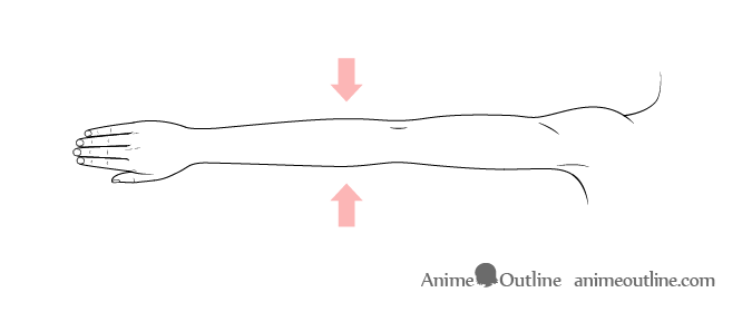 How to Draw Anime & Manga Arms Tutorial - AnimeOutline