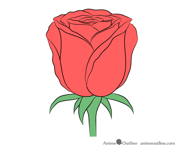 rose drawing flower color