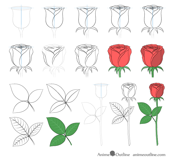 How to Draw a Rose Step by Step AnimeOutline