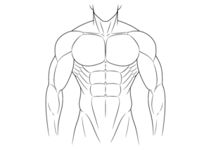 Anime muscular body