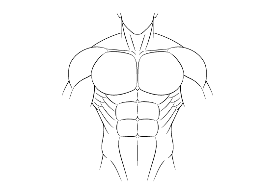 Male Body Types Chart Drawing | TikTok