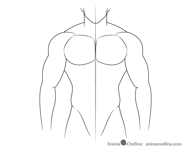 Muscular body chest muscles drawing