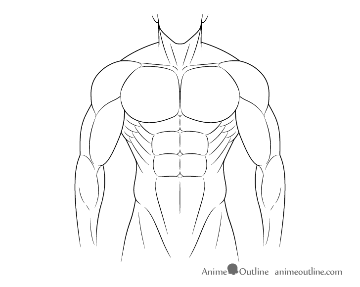 Muscular body drawing