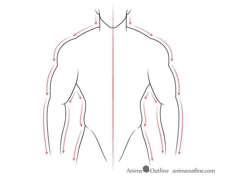 Muscular male body drawing directions