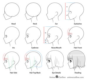 How to Draw Anime Face Side View (With Proportions) - AnimeOutline