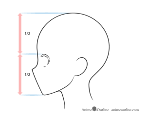 How To Draw Anime Face Side View (with Proportions) - Animeoutline